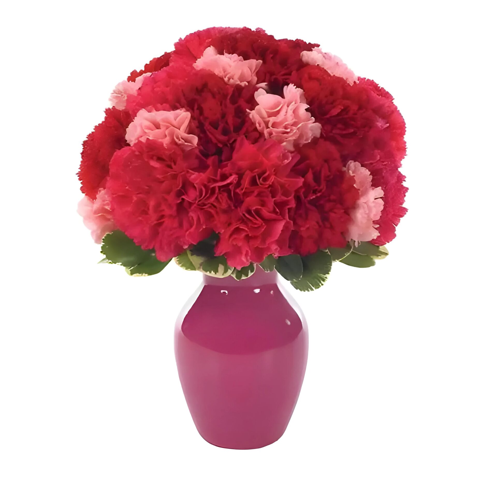 Contemporary Carnations Bud Vase