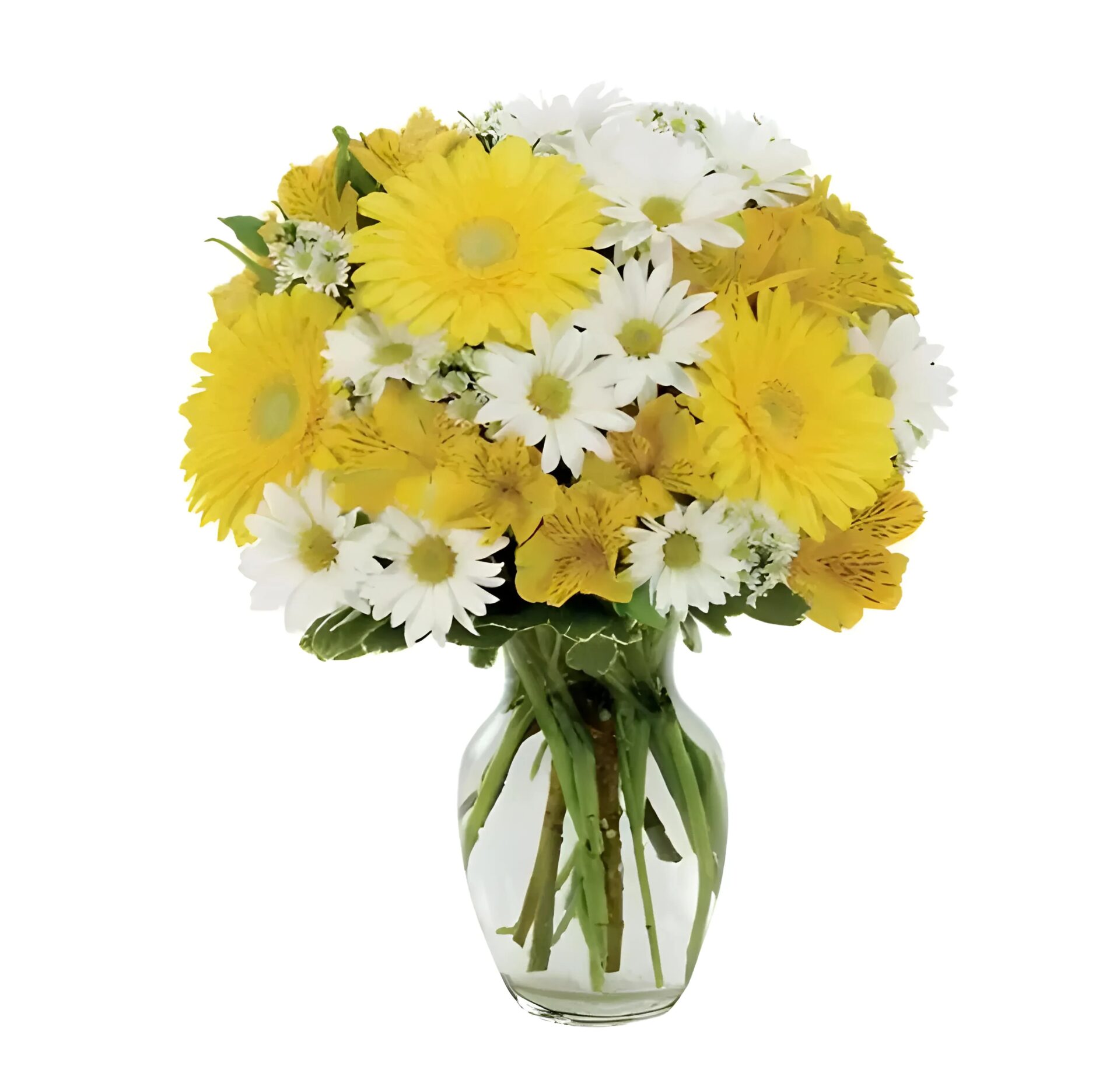 Daisy a Day Bouquet